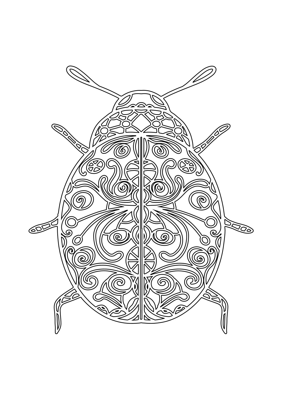 Animals Bug