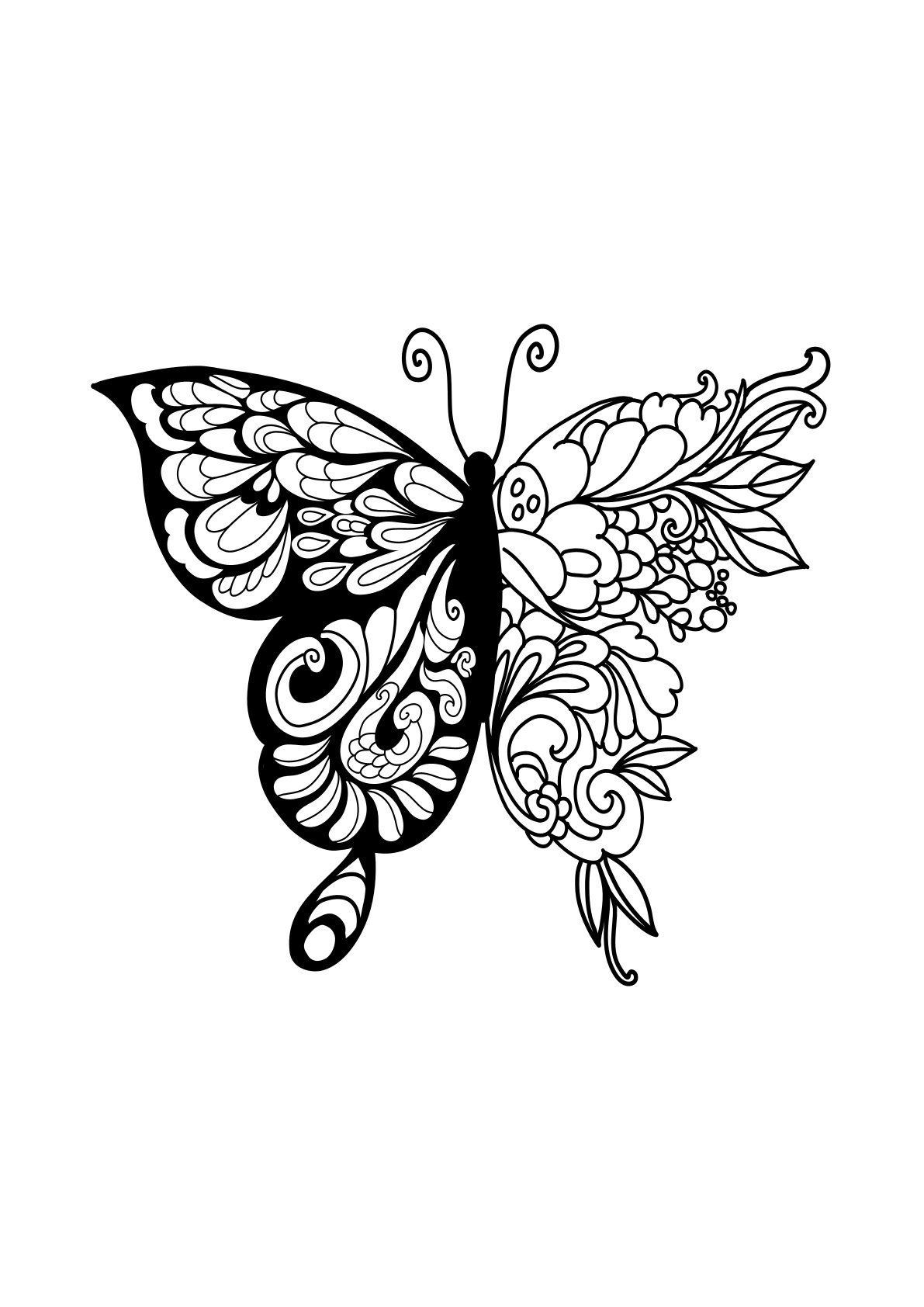 Animals Butterfly 2