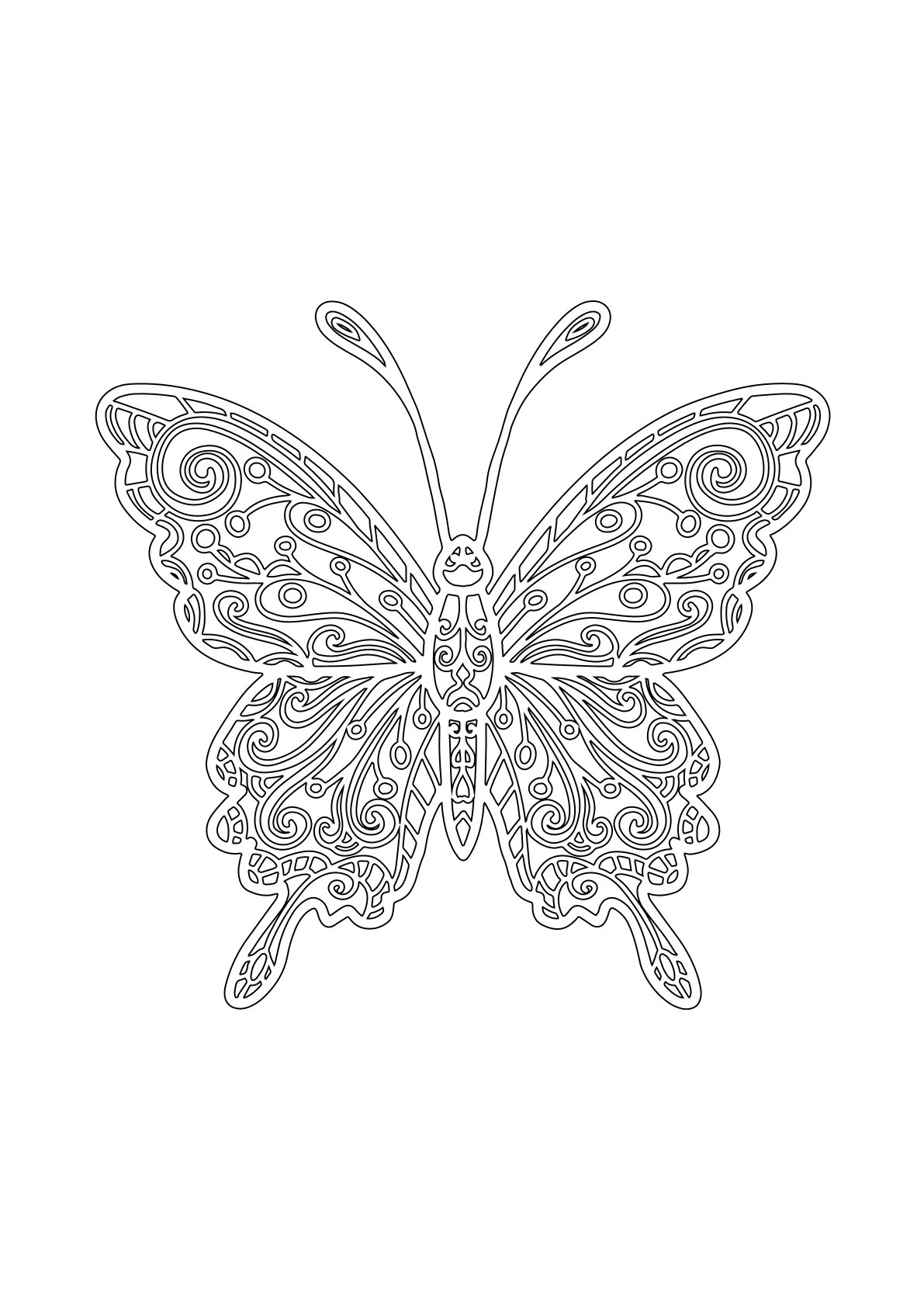 Animals Butterfly