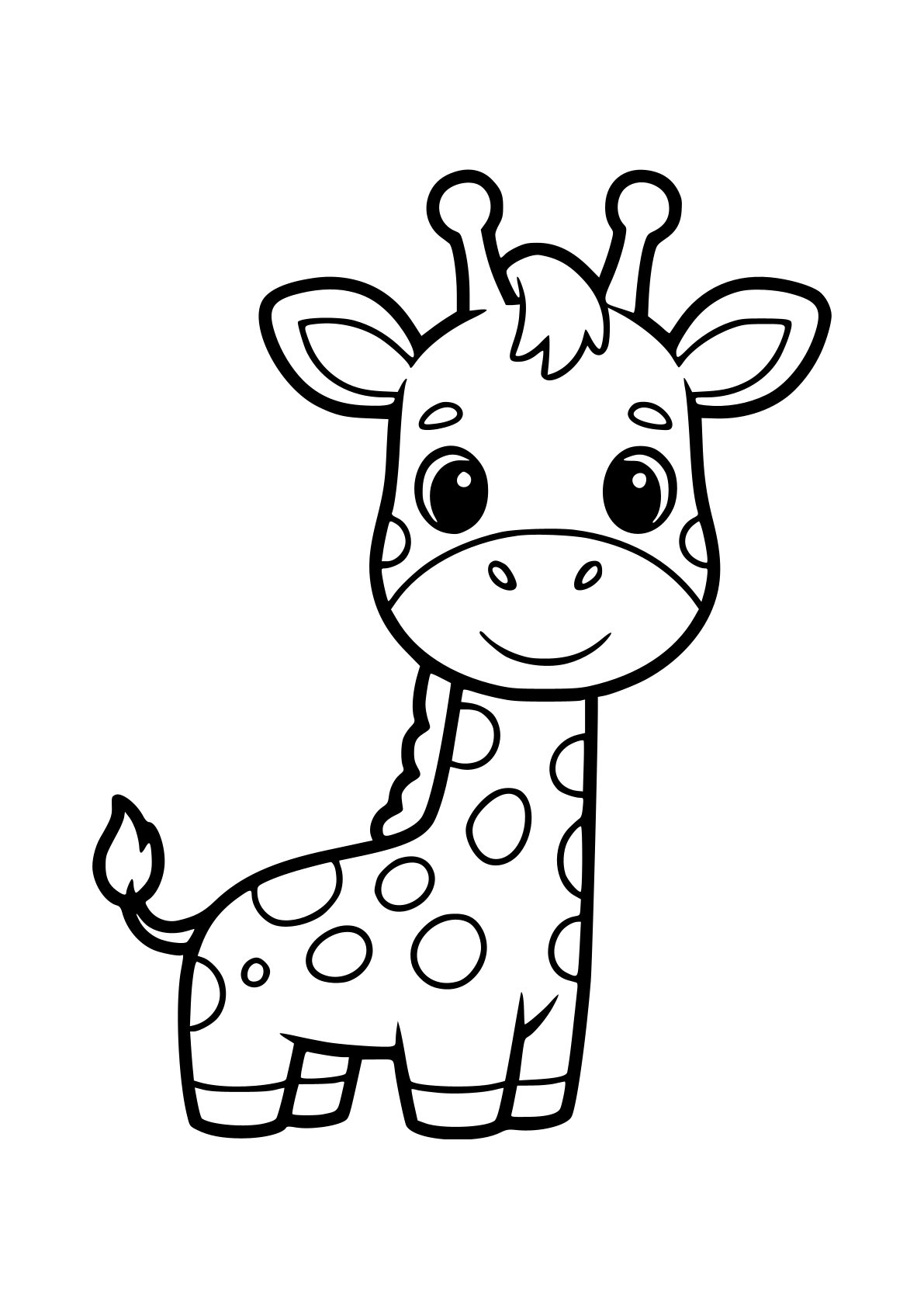 Animals Giraffe
