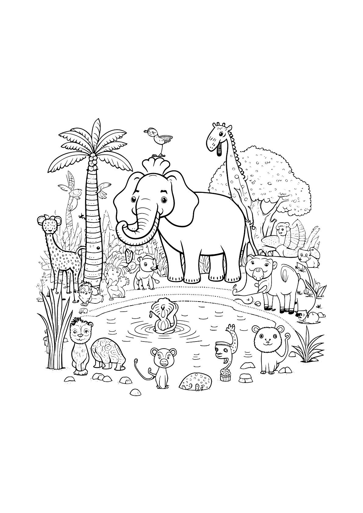Animals Safari 2