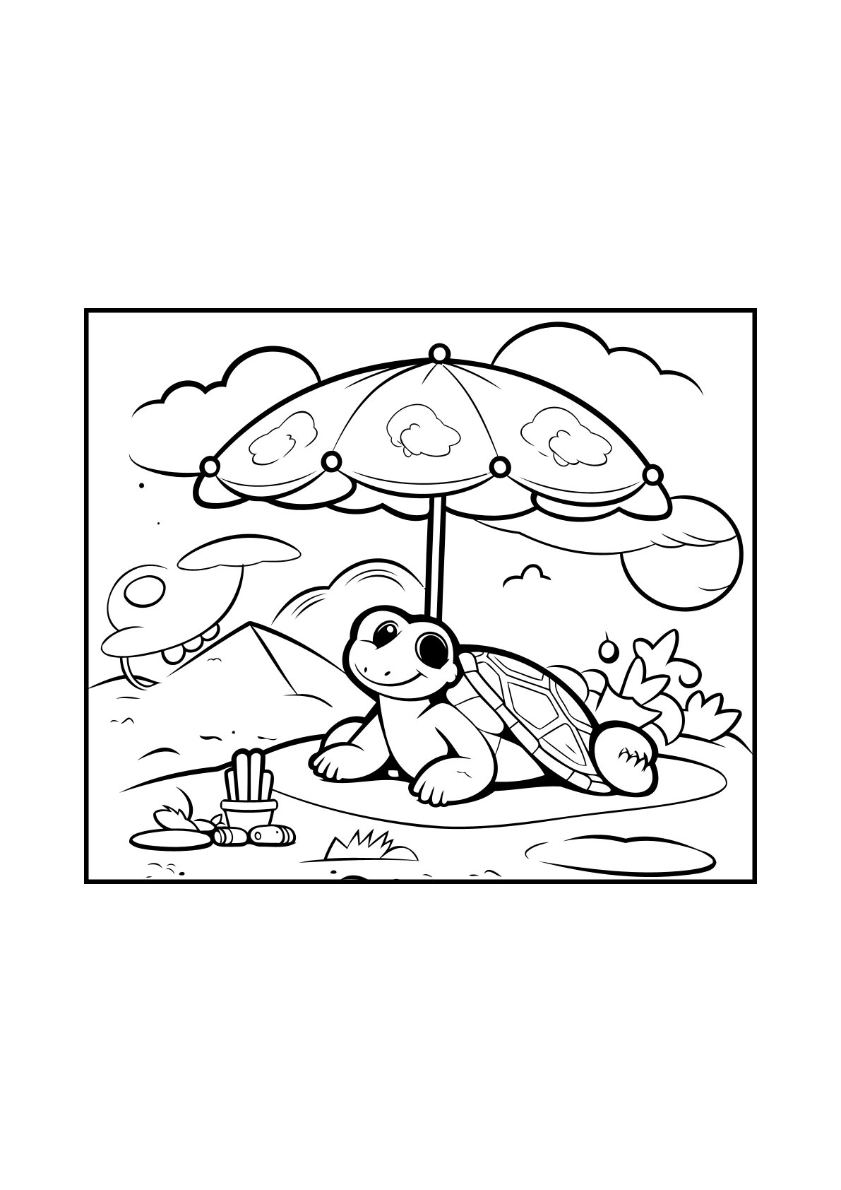 Animals Turtle